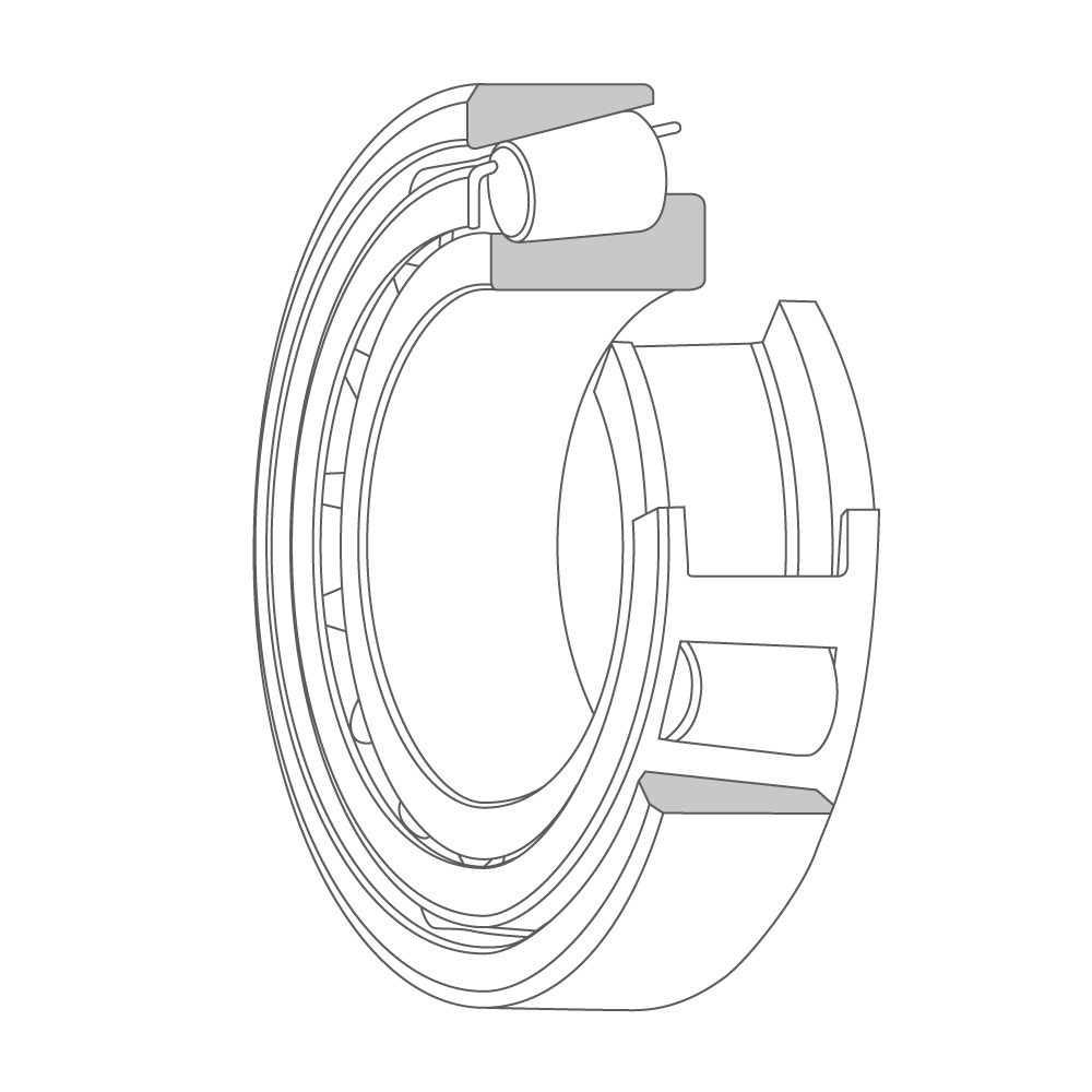3D model cross-section of a tapered roller bearing with the inner ring raceway, cage, rollers, and outer ring visible.