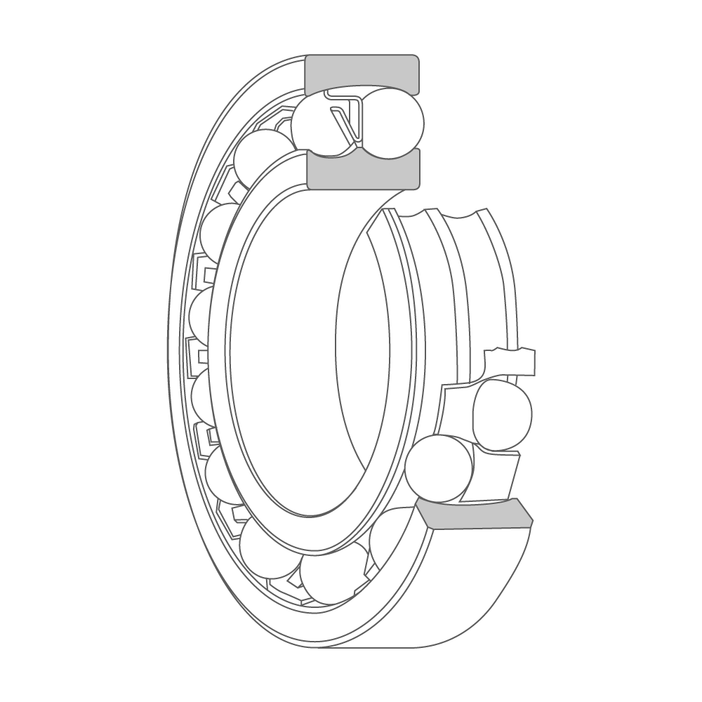 3D model cross-section of a self-aligning ball bearing with the spherical inner ring raceway, cage, two rows of balls, and outer ring visible.