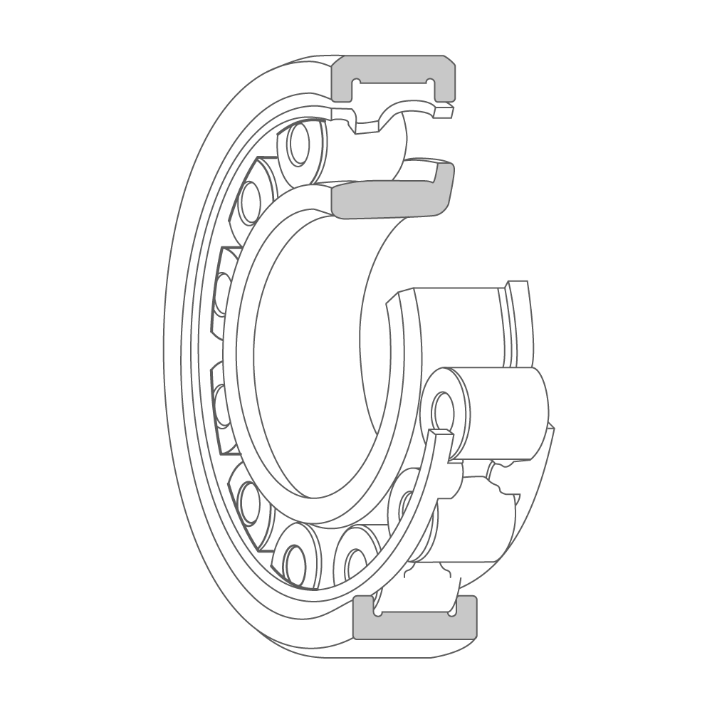 3D model cross-section of a cylindrical roller bearing with the inner ring raceway, rollers, balls, and outer ring visible.