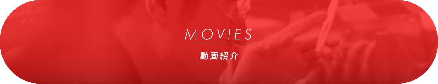 MOVIES／動画紹介