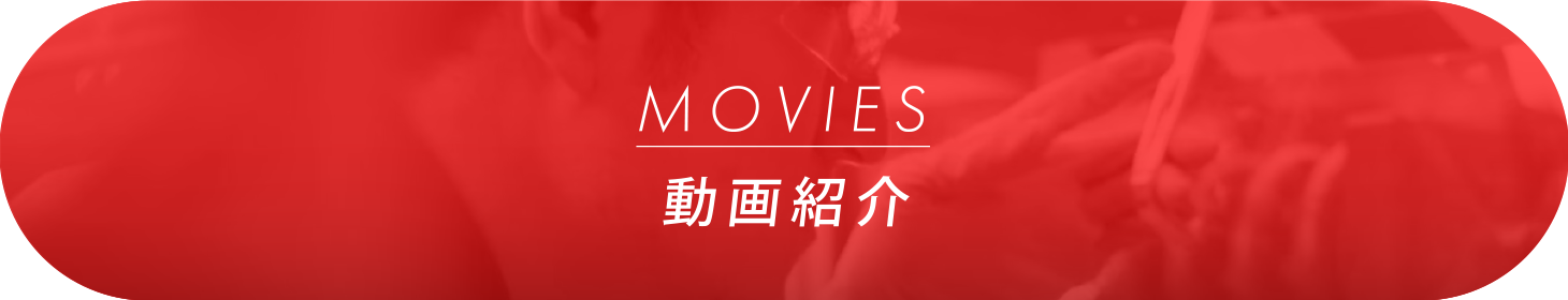 MOVIES／動画紹介